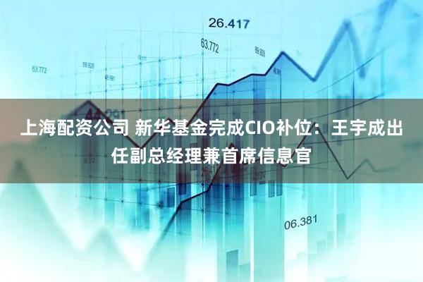 上海配资公司 新华基金完成CIO补位：王宇成出任副总经理兼首席信息官